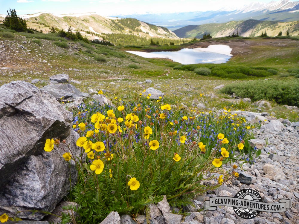 Collegiate Peaks Campground, CO. Summer 2011