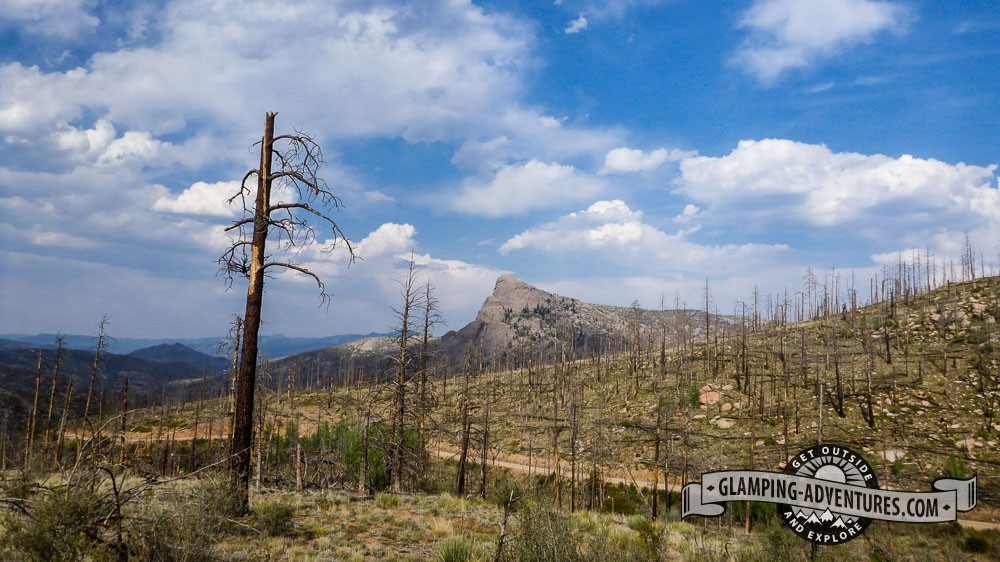 Spruce Grove Campground, CO. Spring 2012