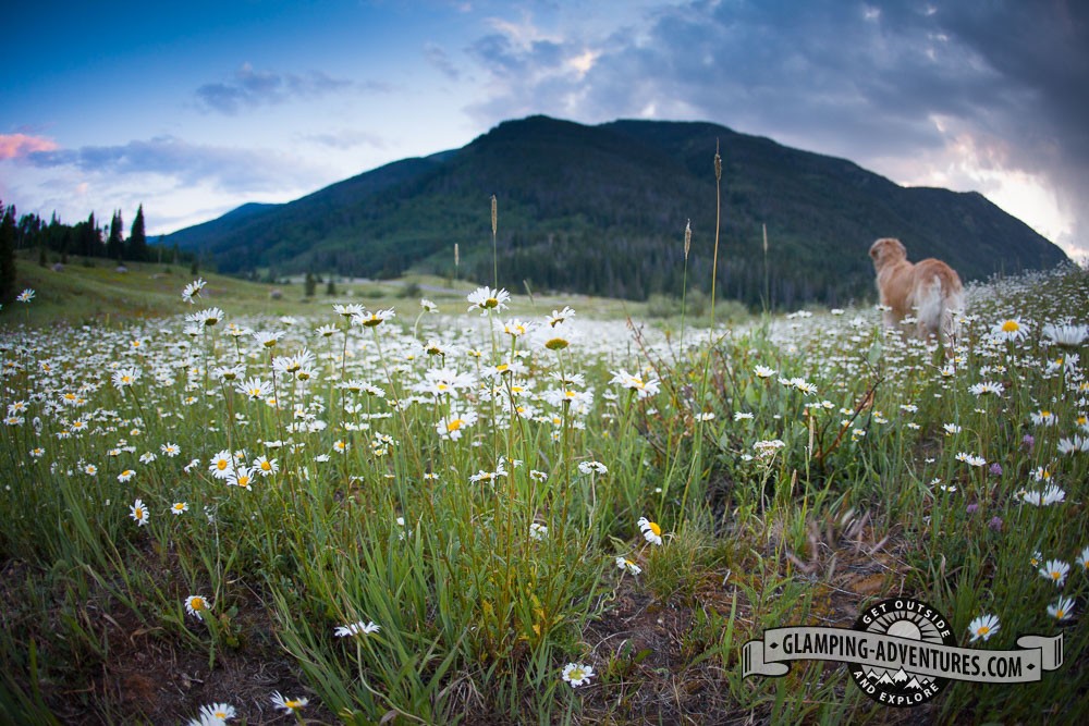 Gore Creek Campground, Vail CO, Summer 2014