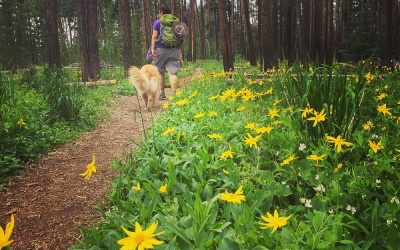 Gore Creek Campground, Vail CO, Summer 2015