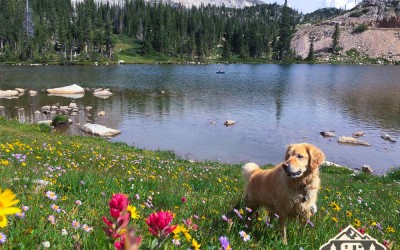 Sugarloaf Campground, WY. Summer 2015